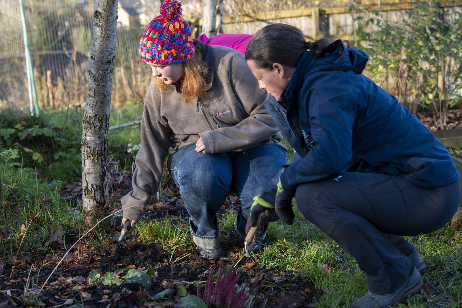 Two people crouching near a tree, using tools to dig in soil, likely engaged in a gardening or environmental science activity.